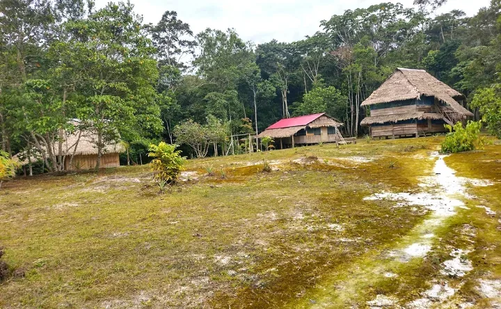 Peruvian Amazon